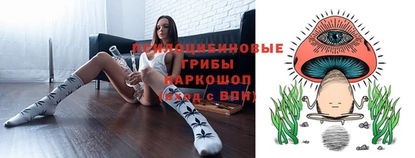 меф Богородицк
