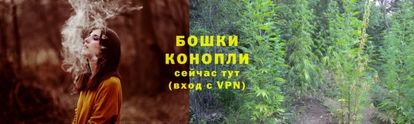 a pvp Няндома